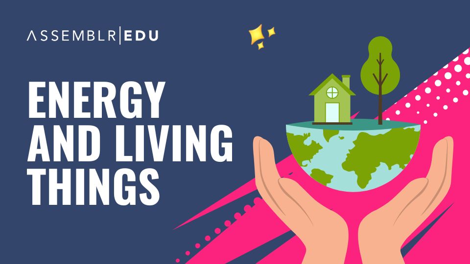 Energy And Living Things - on Assemblr Edu
