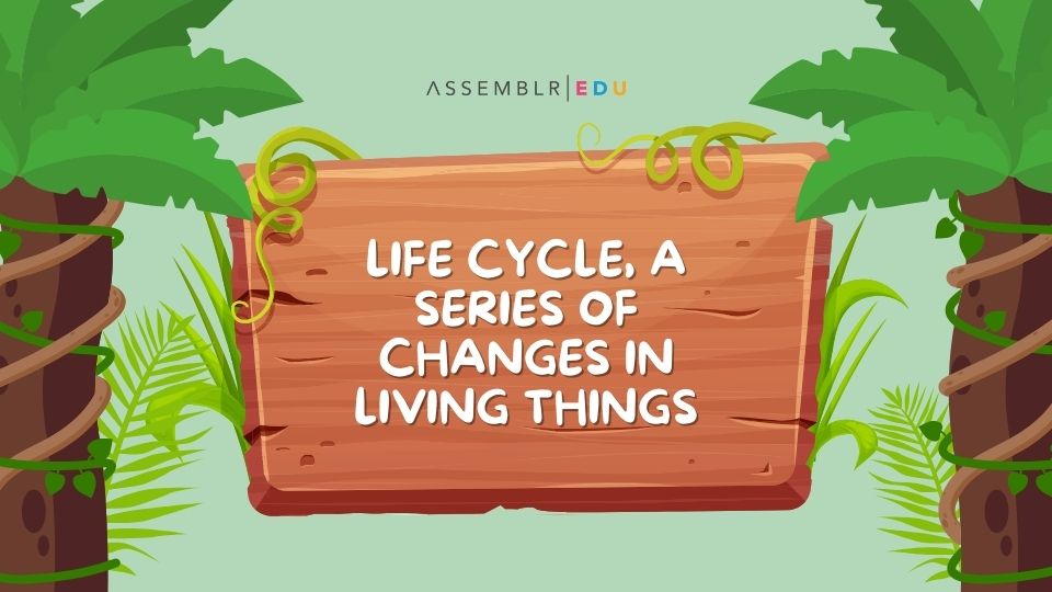 Life Cycle, A Series Of Changes In Living Things - on Assemblr Edu